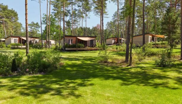 tropical islands woodland homes