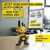 Gratis Auto-Check – kostenloser Kfz-Meistercheck | Vergölst 