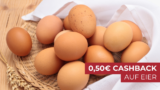 0,50€ Cashback auf Eier bei Scondoo