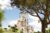 Disneyland® Paris mit Hotelübernachtung ab 119 € bei Watado
