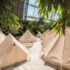 3 Tage Tropical Islands im modernen Woodland Home ab 75 €[iwp_ifelse(„“, „“, „“, “ statt  €“, „=“)]